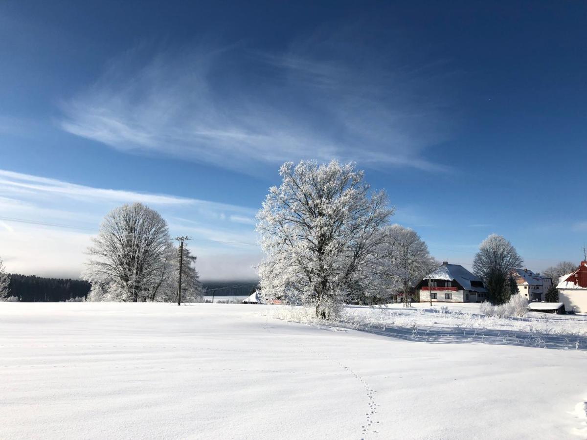 Hotel Fontana Lipno Černá v Pošumaví Exterior foto